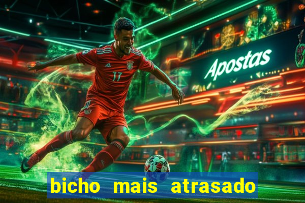 bicho mais atrasado na bahia